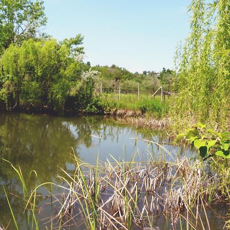 Pian Del Pigro Villa Rimini Dış mekan fotoğraf