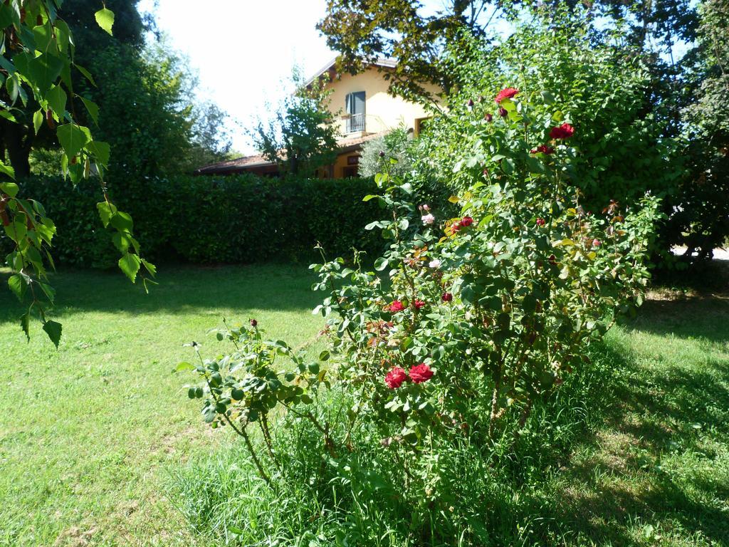 Pian Del Pigro Villa Rimini Dış mekan fotoğraf