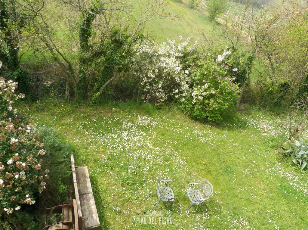 Pian Del Pigro Villa Rimini Dış mekan fotoğraf