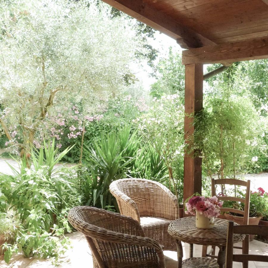 Pian Del Pigro Villa Rimini Dış mekan fotoğraf