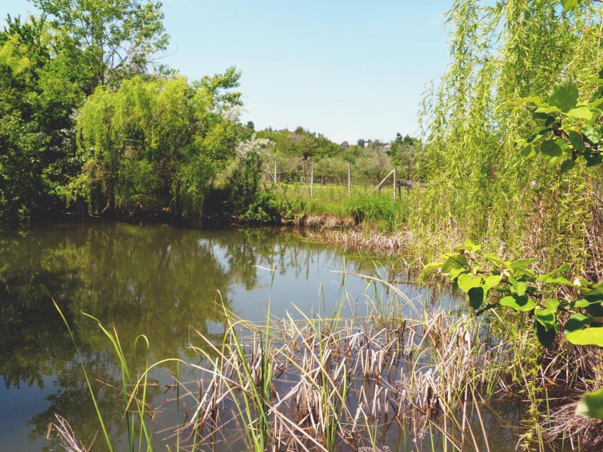 Pian Del Pigro Villa Rimini Dış mekan fotoğraf